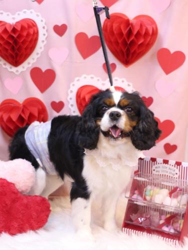 20240212スカイくん